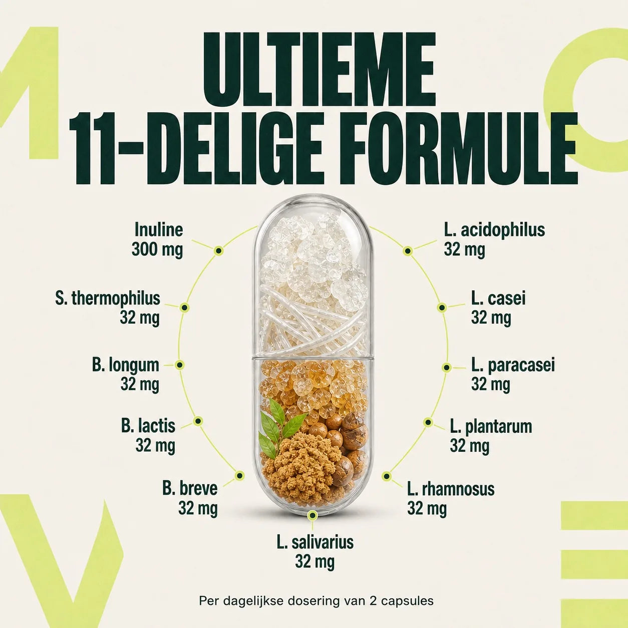 BALANCE product image 2